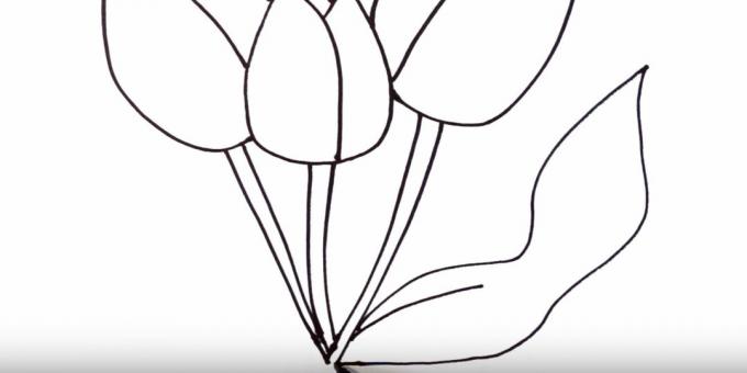 Hur man ritar en tulpan: skildra höger blad