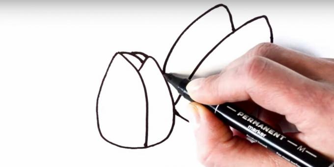 Hur man ritar en tulpan: lägg till vänster kronblad