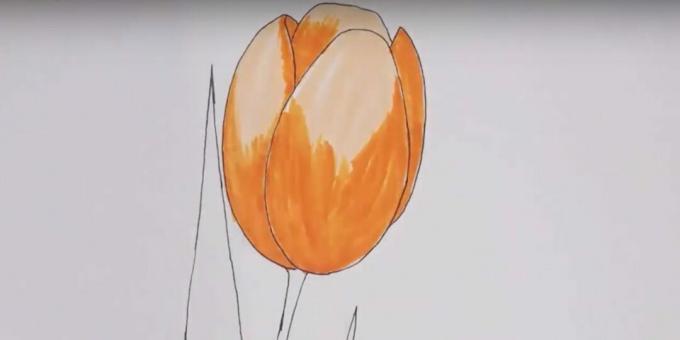 Hur man ritar en tulpan: måla knoppen orange