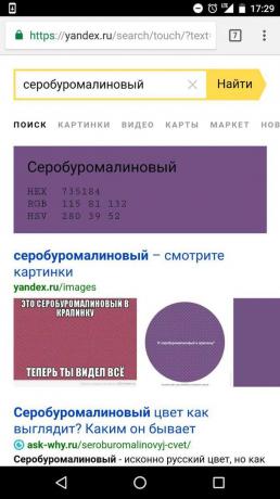 "Yandex" Sök efter färg