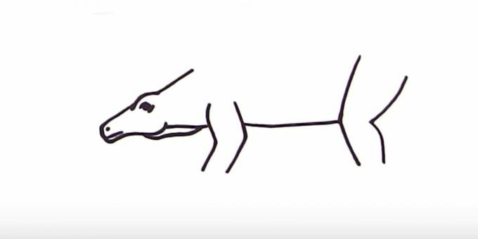 Hur man ritar en Stegosaurus: lägg till buken och bakbenet
