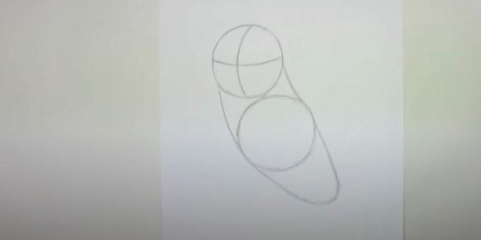 Hur man ritar en uggla: skissera kropp, bröst och nacke