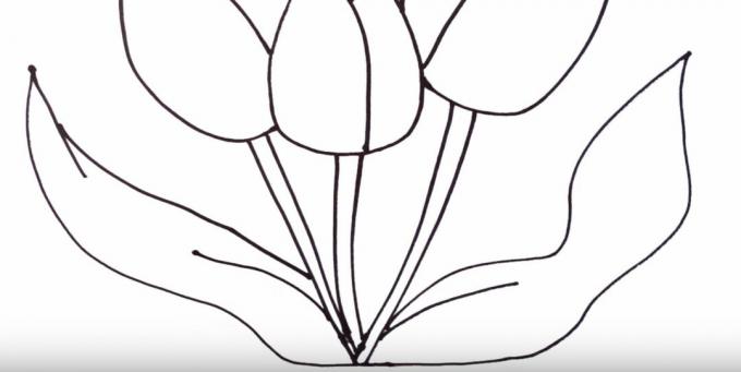 Hur man ritar en tulpan: skildra vänster blad