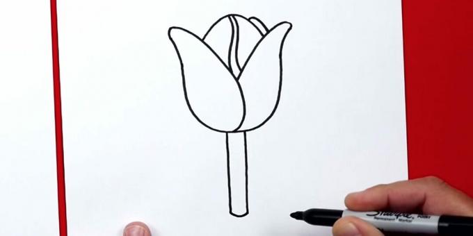 Hur man ritar en tulpan: lägg till en stam
