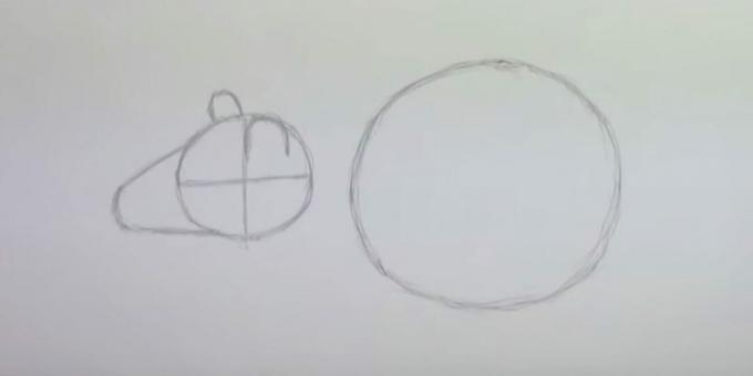 Hur man ritar en mus: skissera ansiktet och öronen