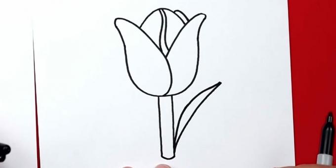 Hur man ritar en tulpan: börja rita rätt blad