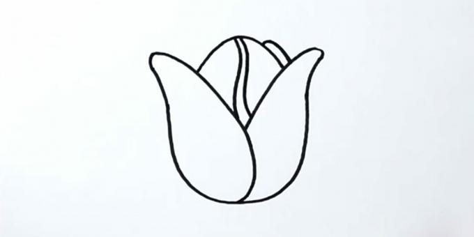Hur man ritar en tulpan: lägg till en knopp