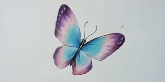 Lägg till mer mättade färgen lila fjärilsvingar