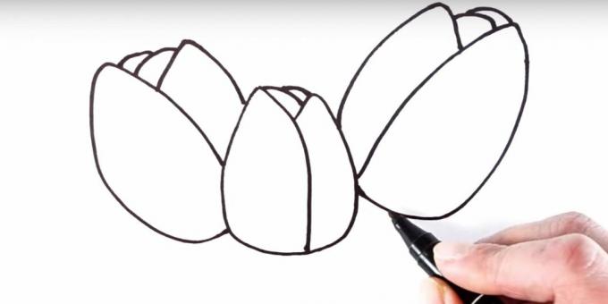 Hur man ritar en tulpan: lägg tillbaka kronblad