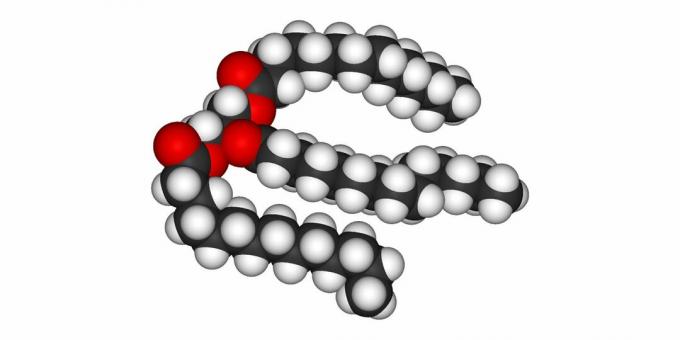 Fetter: triglyceridmodellen