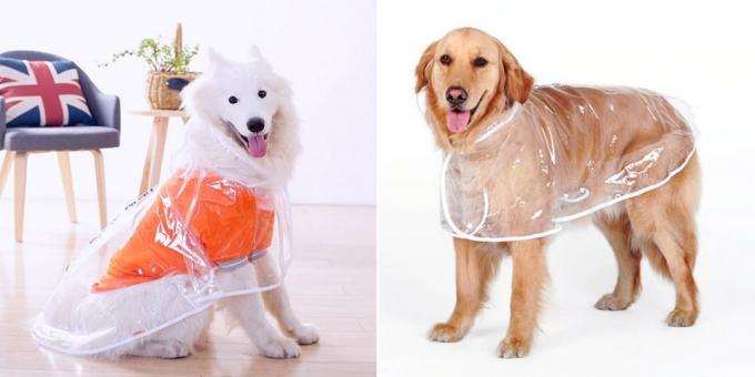 Regnrock för hundar