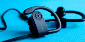 Översikt Beats Powerbeats3 Wireless - trådlösa sporthörlurar från det välkända märket