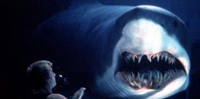 10 hajfilmer som kommer att glädja eller skrämma dig