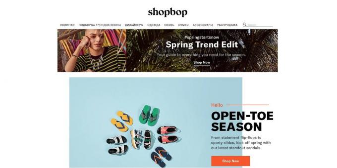 Online shopping med internationell leverans