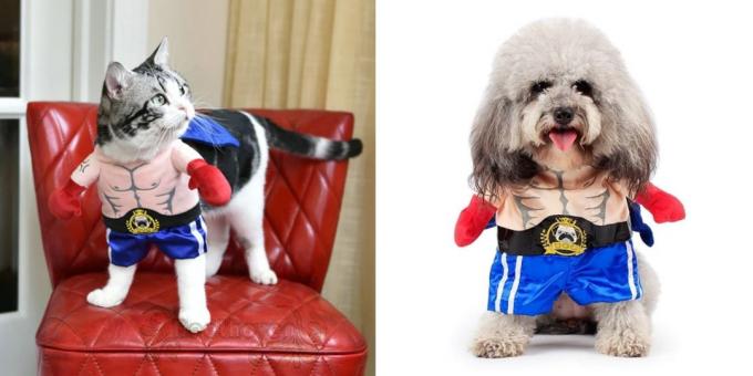 Christmas kostymer för hundar och katter: boxare
