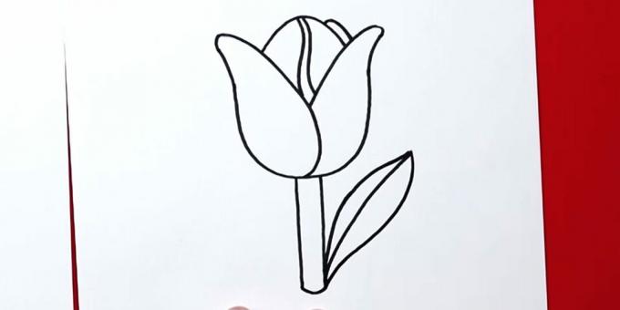 Hur man ritar en tulpan: avsluta rätt blad