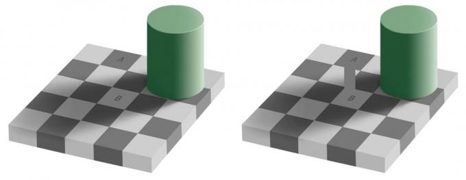 optisk illusion