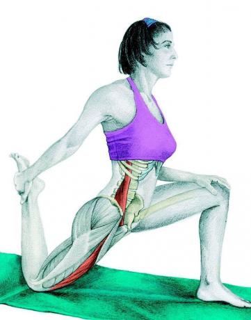 Anatomi stretching: stretching låret
