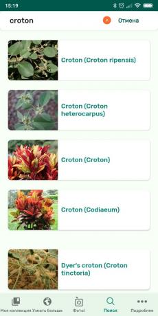 Identifiera olika typer av krukväxter som använder PlantSnap