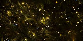 6 jultraditioner som har kommit till oss från hedendom