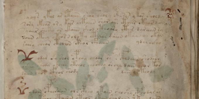 Historiens mysterier: Voynich -manuskriptet