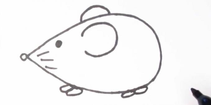 Hur man ritar en mus: rita tassar