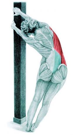 Anatomi stretching: stretching lat mot väggen