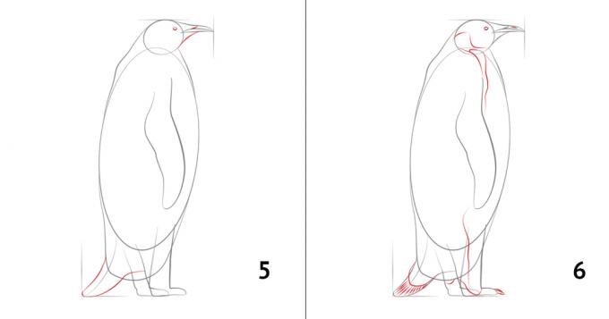Hur man drar en pingvin