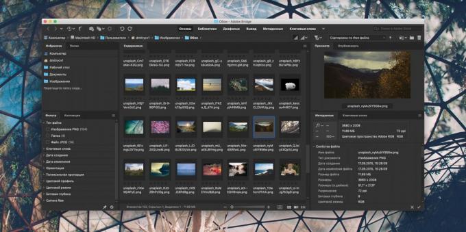 Hur man organiserar en samling bilder: Adobe Bridge