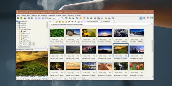 Hur man organiserar en samling av bilder: Faststone Image Viewer