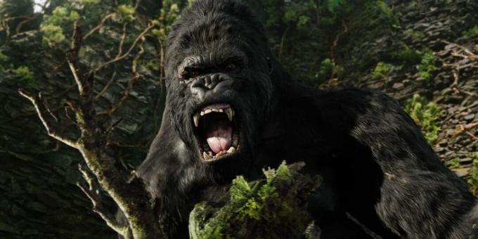 Fortfarande från filmen om djungeln "King Kong"
