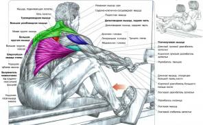 7 typer av pull-ups för en bred och kraftfull back