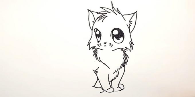Hur man drar anime katt: Under den första bilden ull framfoten