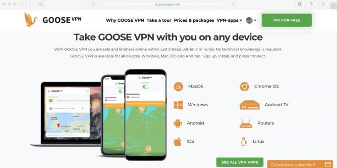 Hur använder jag Netflix i Ryssland: Set Goose VPN-program från nedladdningen och slå på