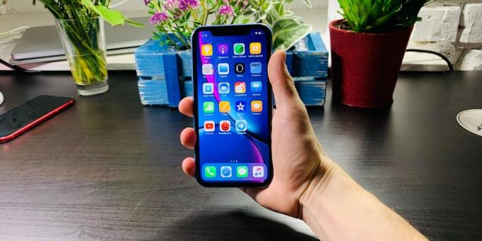 Översikt iPhone XR: situationen i handen