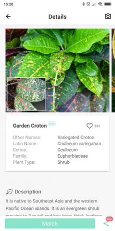 Identifiera olika typer av krukväxter som använder PictureThis
