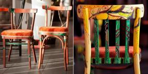 "Jag gillar tanken på att återupplivande av gamla saker": hur man öppnar en butik, återställa möbler med Avito
