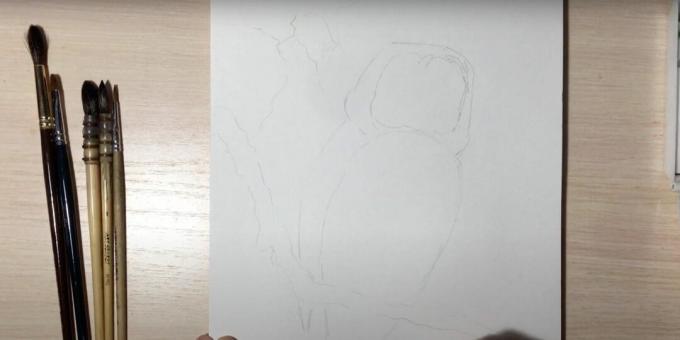 Hur man ritar en uggla: skissera en uggls gren och kropp
