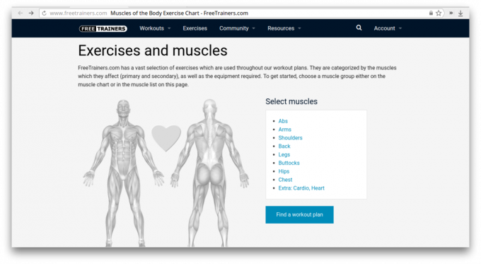 Musklerna i kroppen motion diagram 