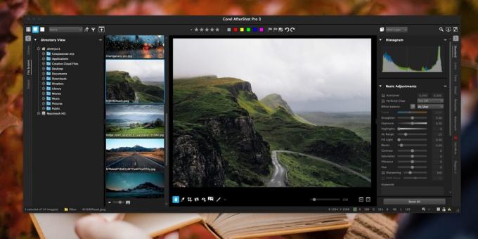 Hur man organiserar en samling bilder: Corel AfterShot Pro