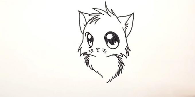 Hur man drar anime katt: Längst ned i sicksack och streckade linjer måla på fluffig bröst