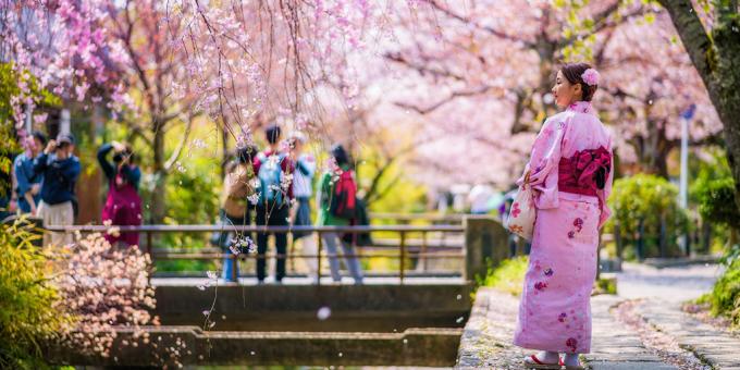 Om att gå i april i Kyoto, Japan