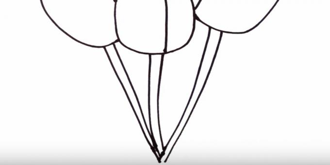 Hur man ritar en tulpan: rita stjälkarna