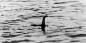 Forskare talade om Loch Ness-odjuret DNA