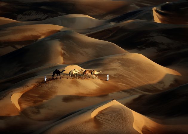 var att gå i höst: UAE