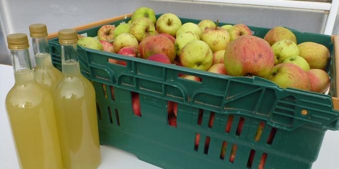 Hur man lagar äppelcider hemma: enkelt recept