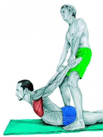 Anatomi stretching: stretching bröstmusklerna