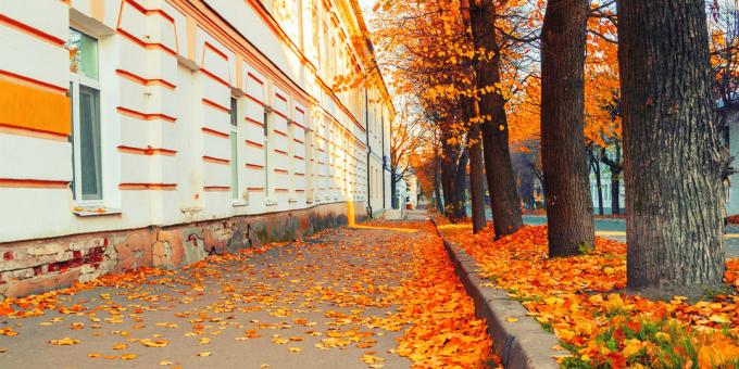 Sevärdheter i Veliky Novgorod: gamla stan