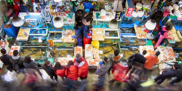 Sevärdheter Sydkorea: det är nödvändigt att besöka fiskmarknaden