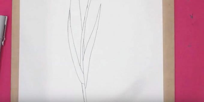 Hur man ritar en tulpan: rita rätt blad
